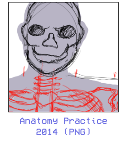 Anatomy Practice2014 (PNG)